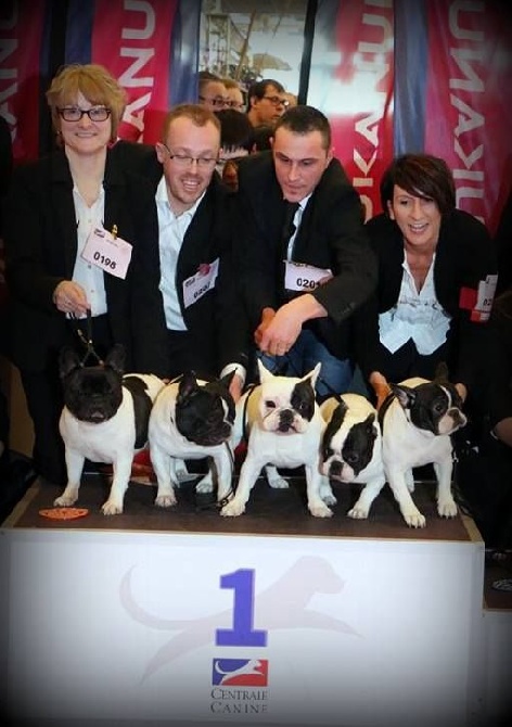 Concours Général Agricole 2015, Salon de l'Agriculture